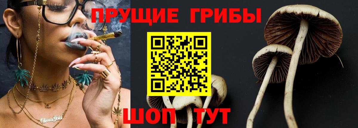 Минеральные Воды  Псилоцибиновые грибы мицелий  Вход с VPN 